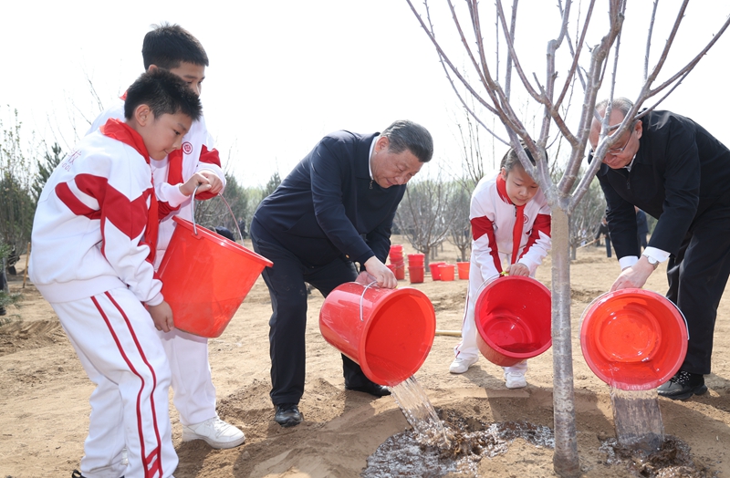 图片说明
