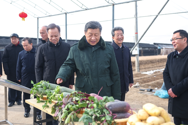 图片说明