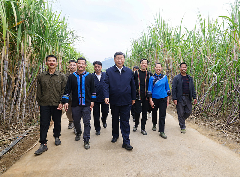 图片说明