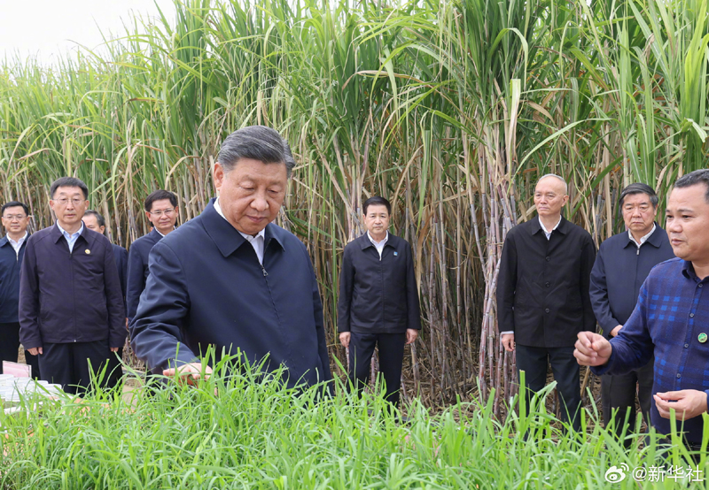 图片说明