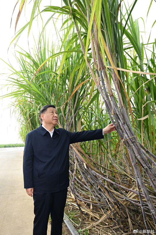 图片说明