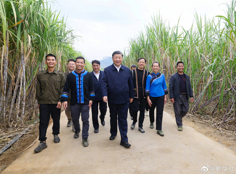 图片说明