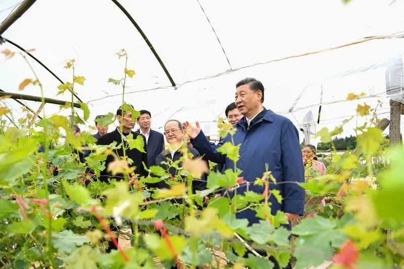 图片说明