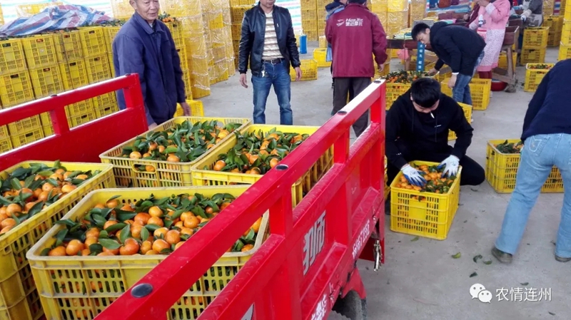 图片说明