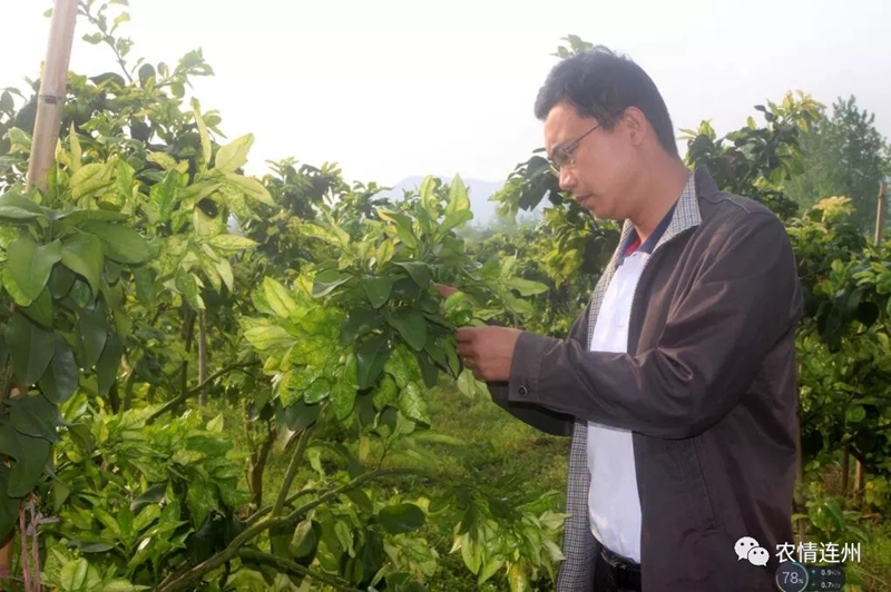 图片说明
