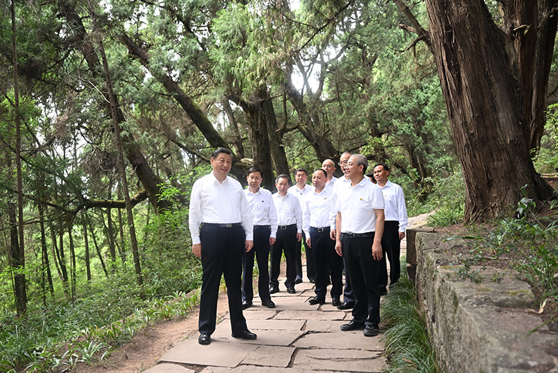 图片说明