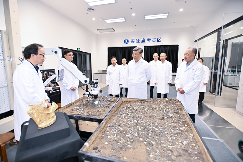 图片说明