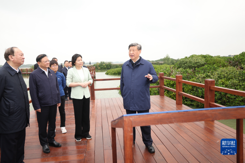图片说明