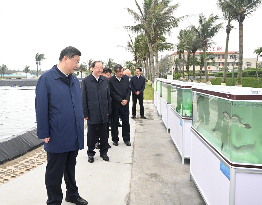 图片说明