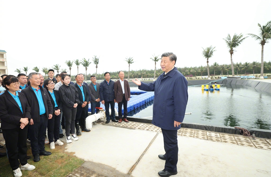 图片说明
