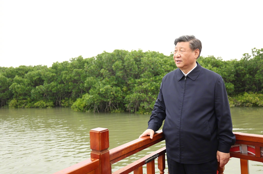 图片说明