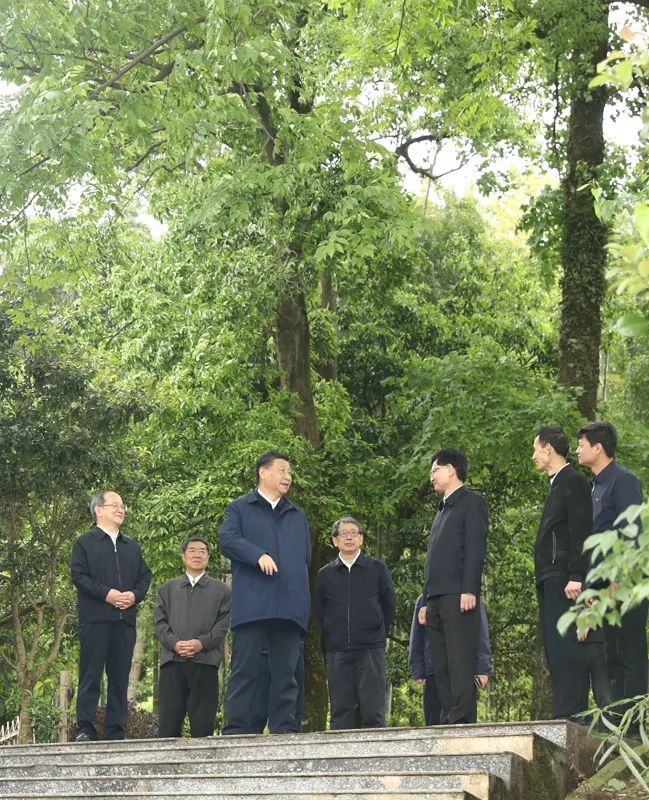 图片说明